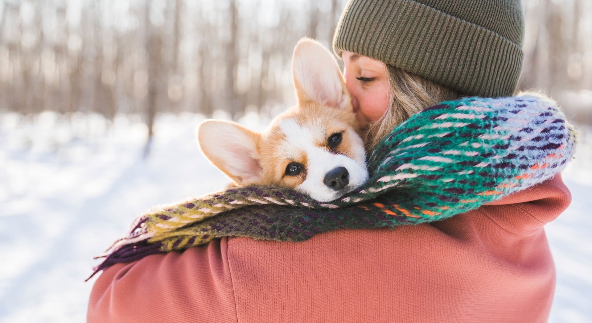 Cold feet? Keep paws healthy and happy this winter
